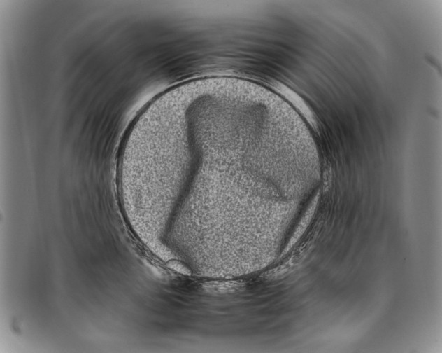 X0000096671051200803041217