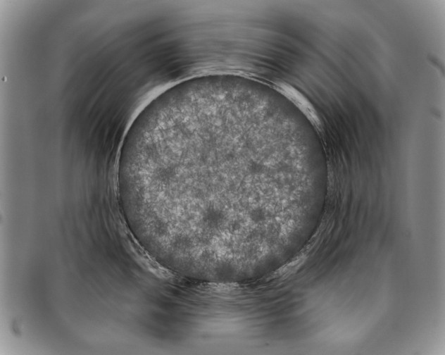 X0000096671052200803041217
