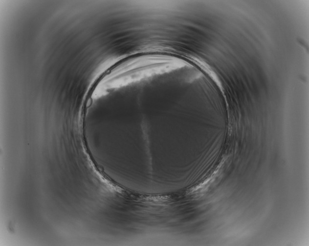 X0000096671053200803041217