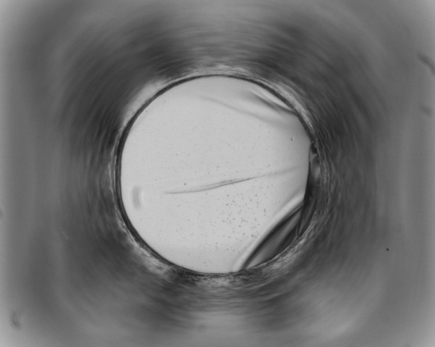 X0000096671054200803041217