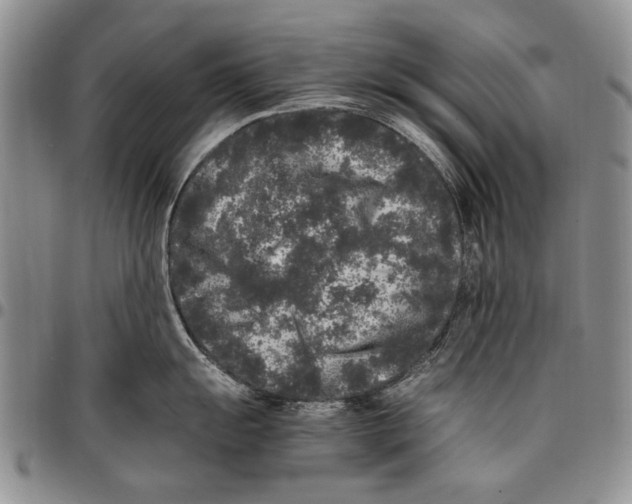 X0000096671055200803041217