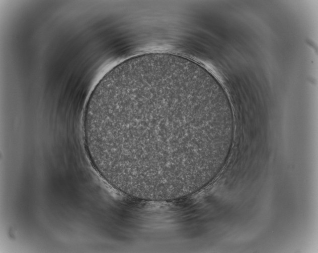 X0000096671056200803041217