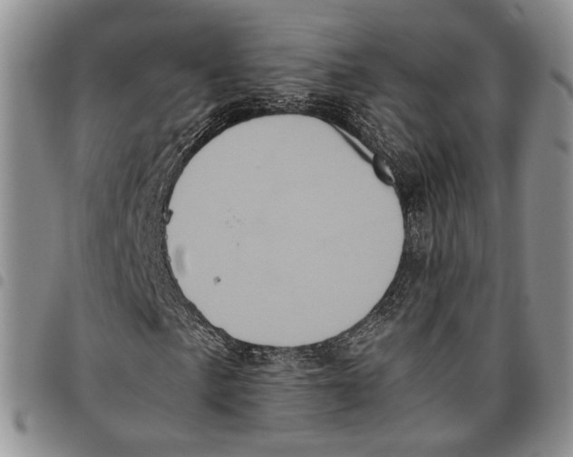 X0000096671057200803041216