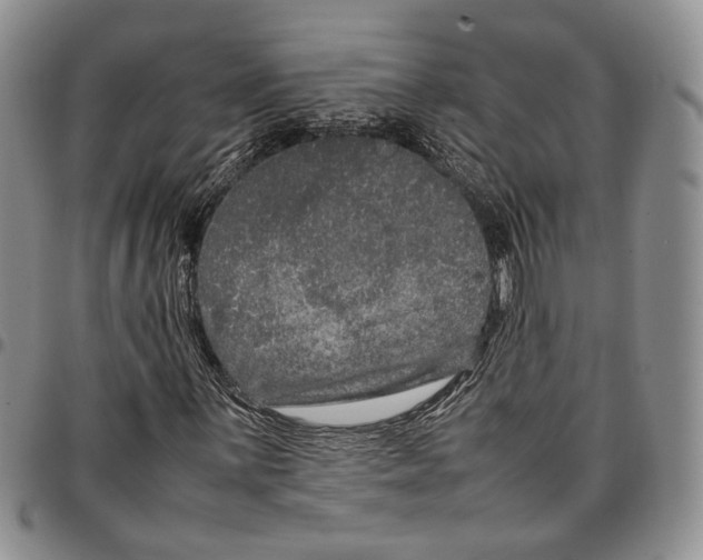 X0000096671059200803041216