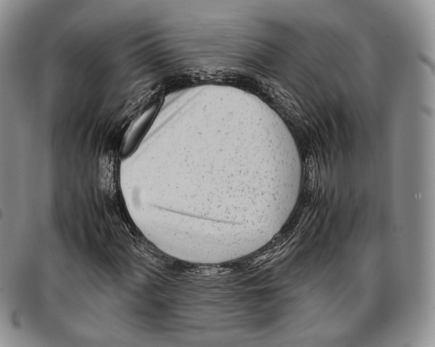 X0000096671060200803041216