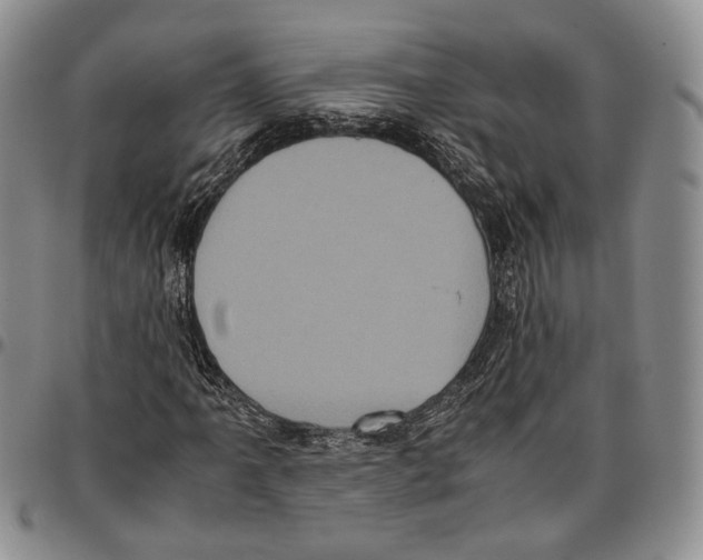 X0000096671061200803041216