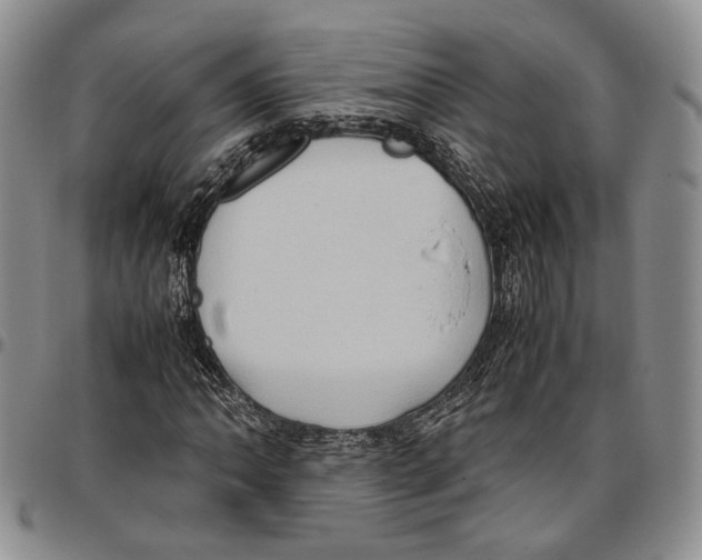 X0000096671062200803041216