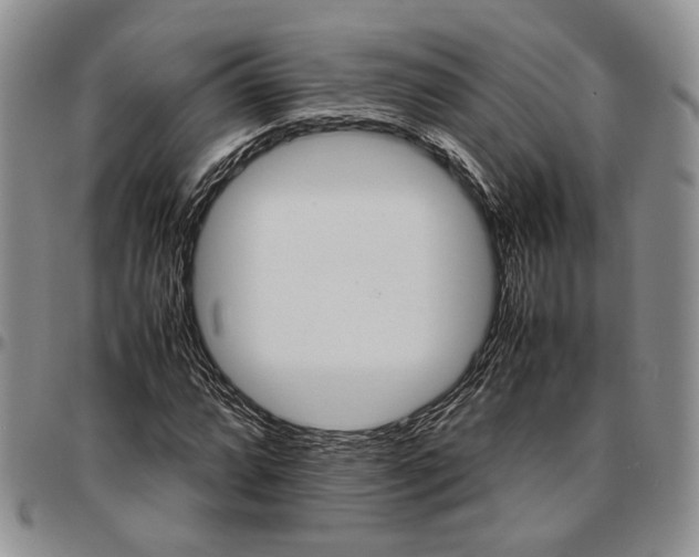 X0000096671064200803041216