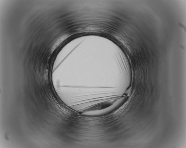 X0000096671066200803041216