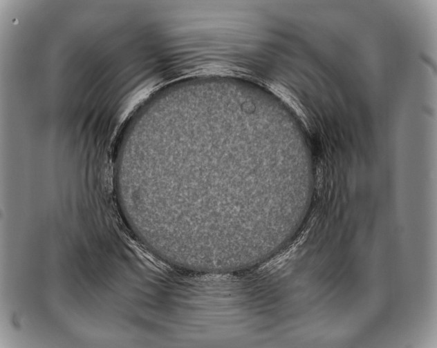 X0000096671067200803041216