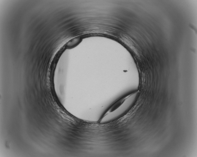 X0000096671068200803041216