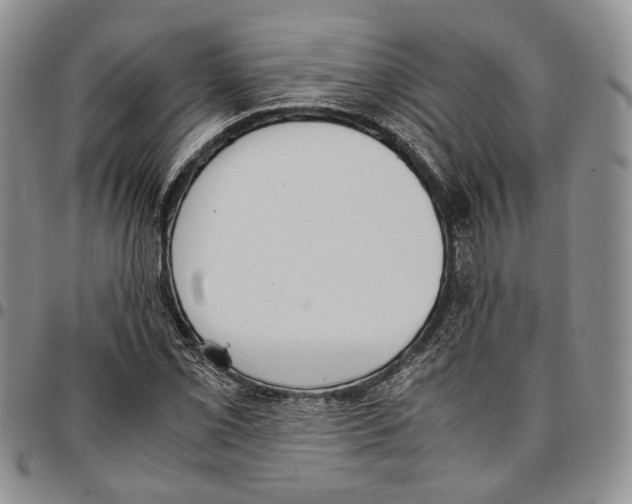 X0000096671069200803041216