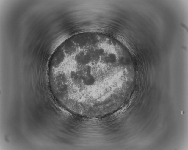X0000096671071200803041216