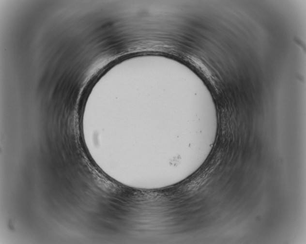 X0000096671072200803041216