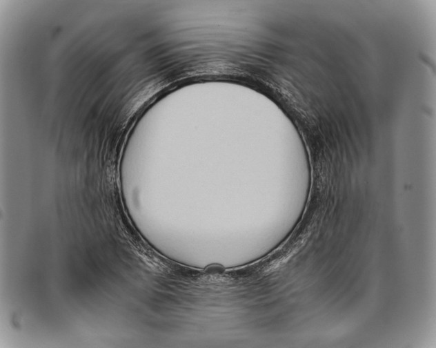 X0000096671073200803041216