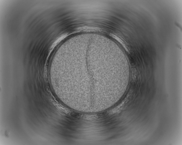 X0000096671074200803041216