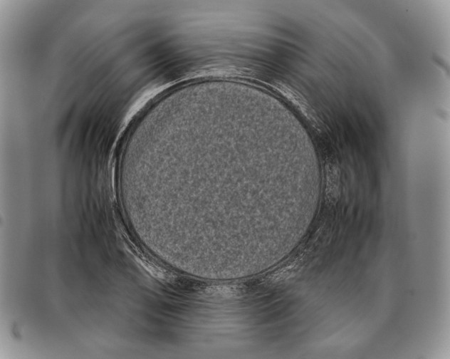X0000096671078200803041216