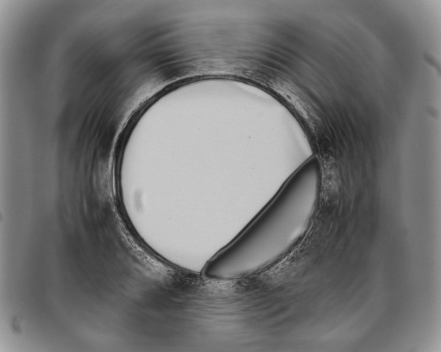 X0000096671080200803041216
