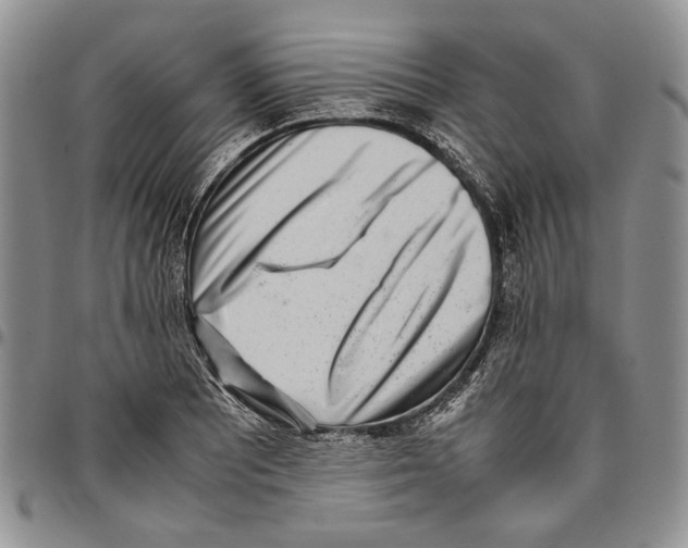 X0000096671081200803041216