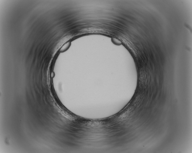 X0000096671082200803041216