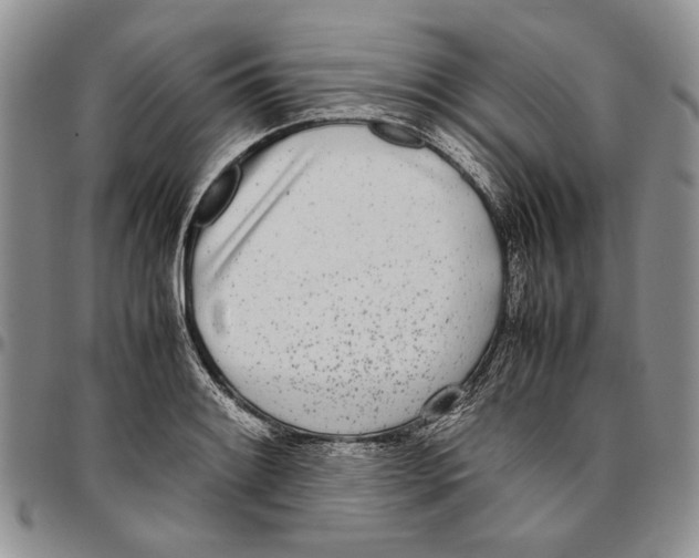 X0000096671084200803041216