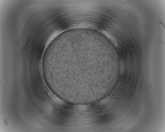 X0000096671086200803041216