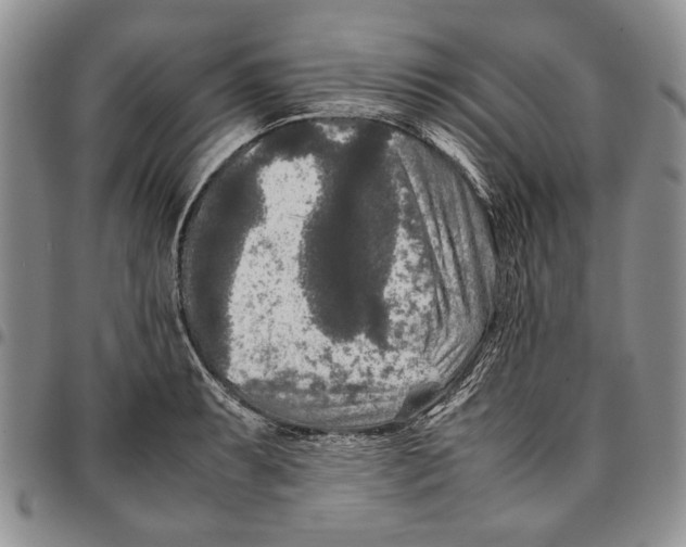 X0000096671087200803041216