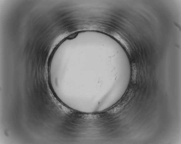 X0000096671088200803041216