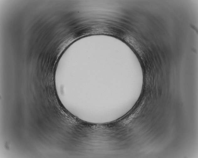 X0000096671089200803041216