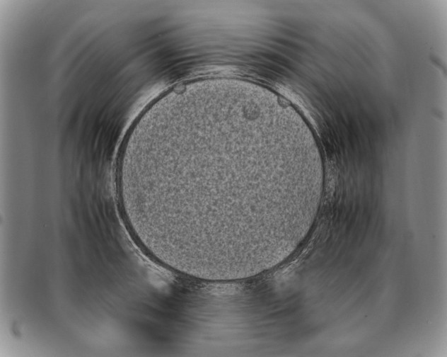 X0000096671090200803041216