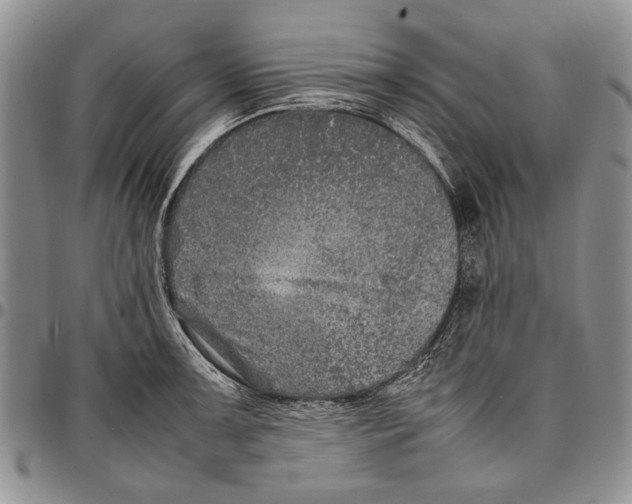 X0000096671091200803041216