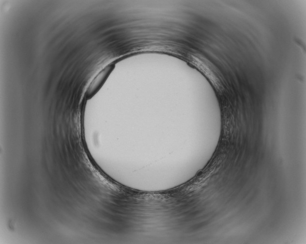 X0000096671092200803041216