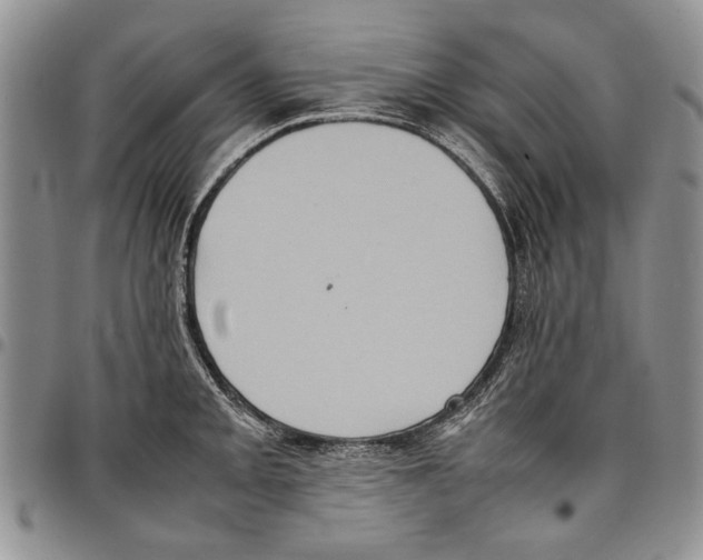 X0000096671093200803041216