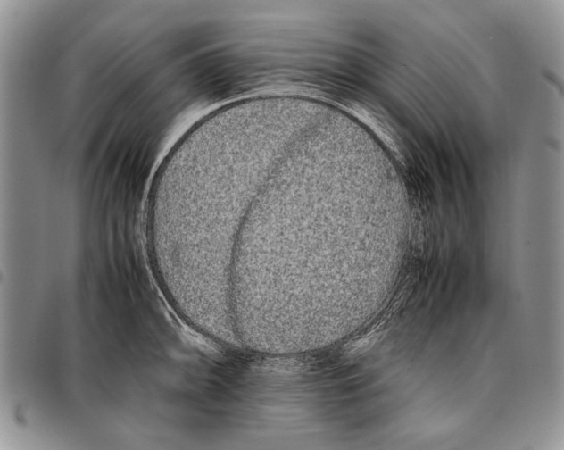 X0000096671094200803041216