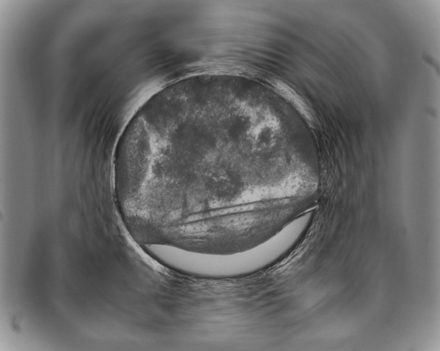 X0000096671095200803041216
