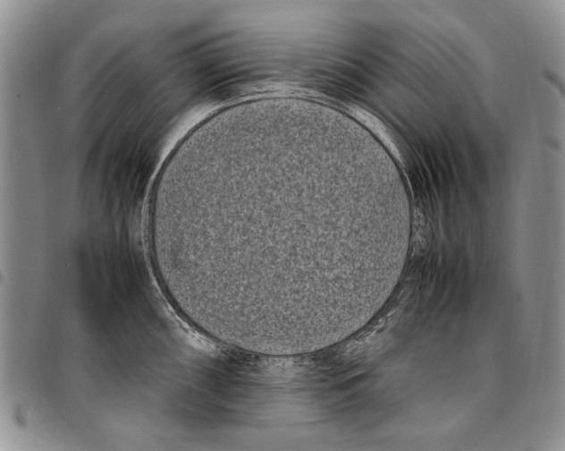 X0000096671098200803041216