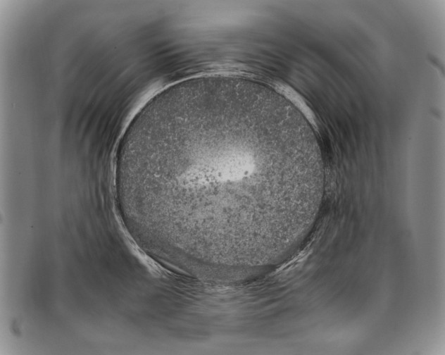 X0000096671099200803041216