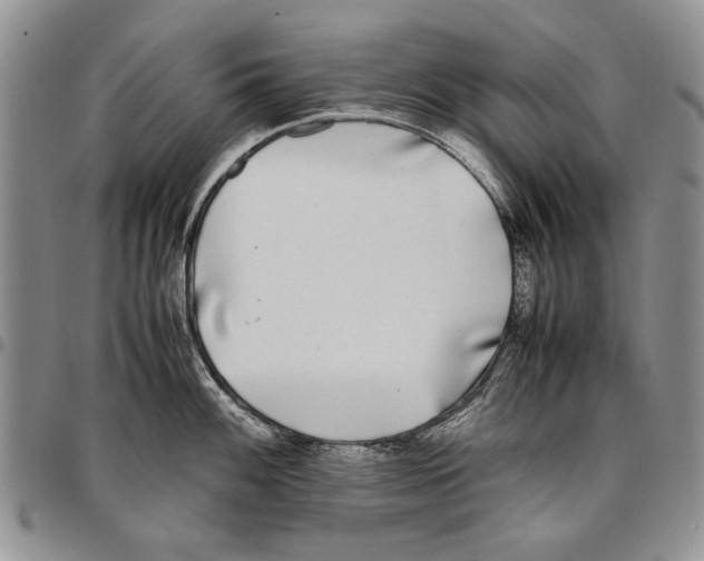 X0000096671100200803041216