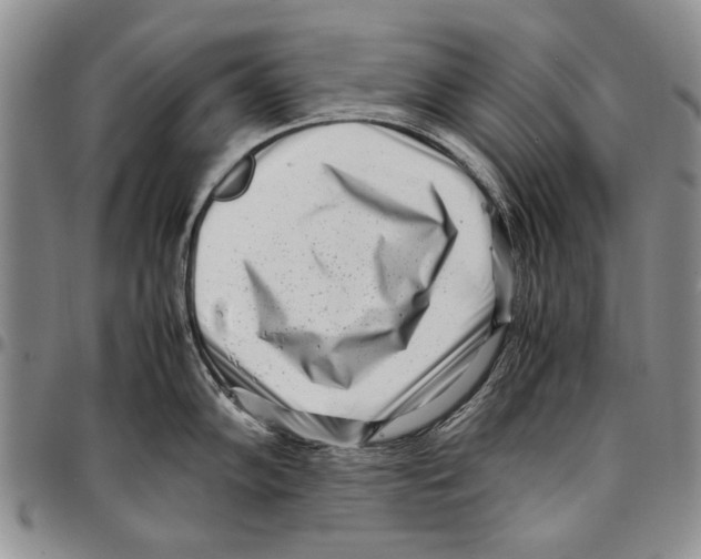 X0000096671102200803041215