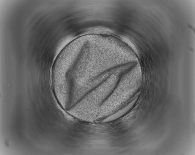 X0000096671103200803041215