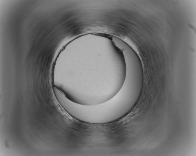 X0000096671104200803041215