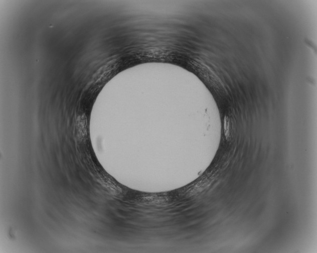 X0000096671107200803041215