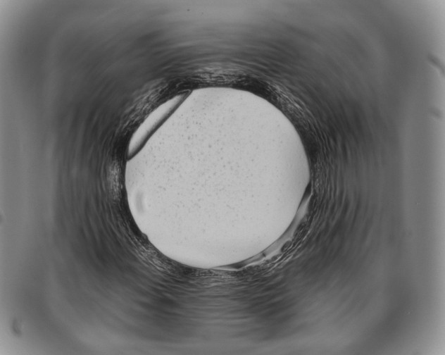 X0000096671108200803041215