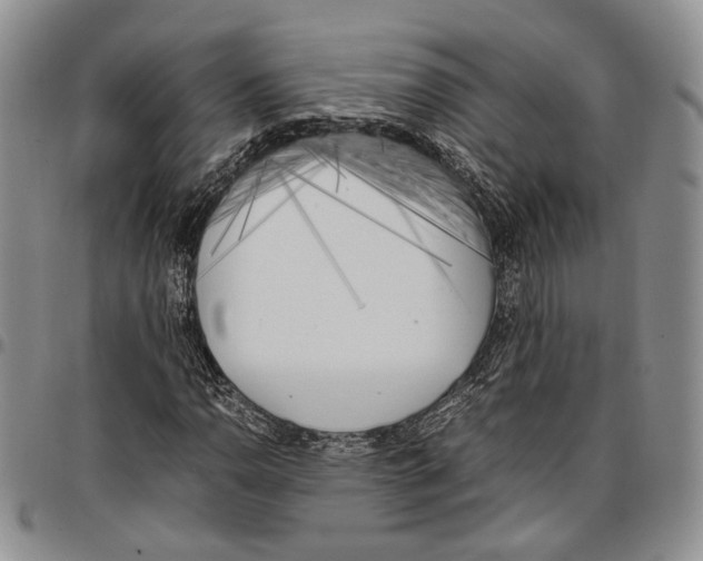 X0000096671110200803041215
