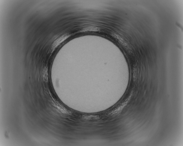 X0000096671113200803041215