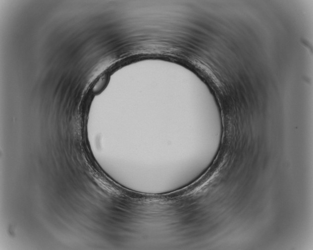 X0000096671114200803041215