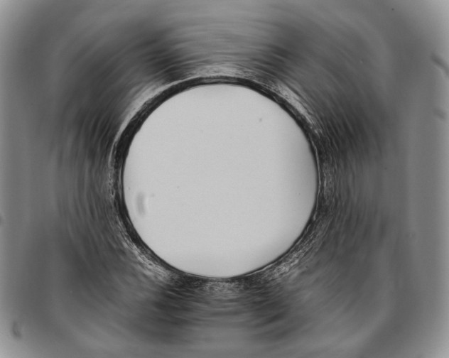 X0000096671116200803041215