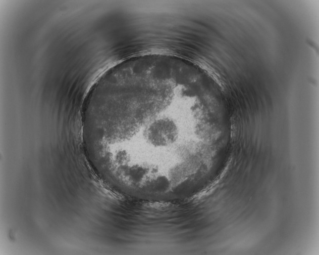X0000096671117200803041215