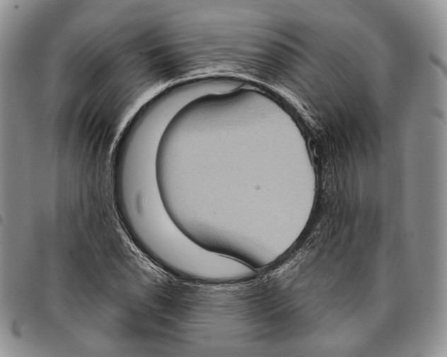 X0000096671118200803041215
