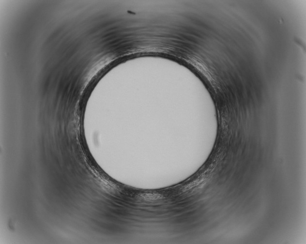 X0000096671119200803041215